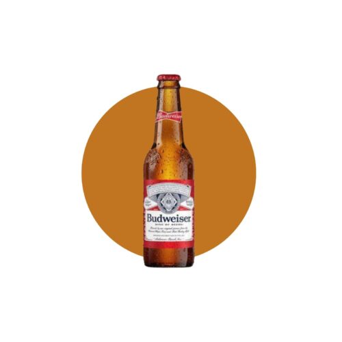 Budweiser 5,0% botella 330ml