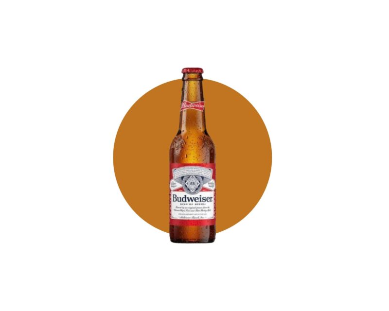 Budweiser 5,0% botella 330ml